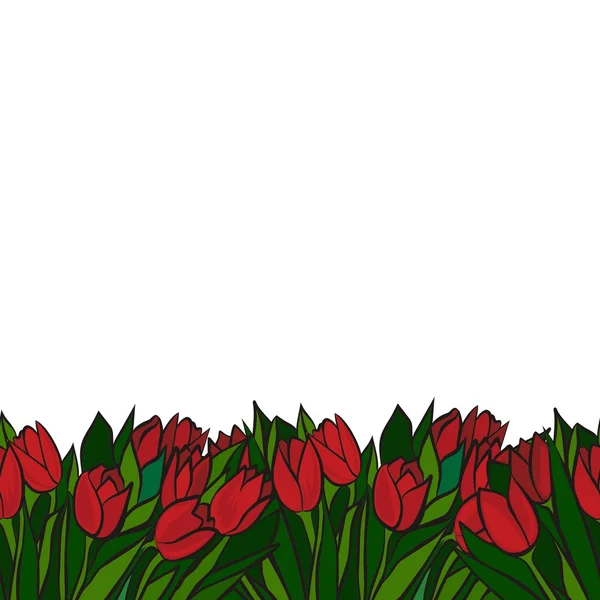 Tulipes printemps rouge avec feuilles vertes sur fond blanc floral fond sans couture bordure horizontale — Image vectorielle