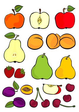 Beyaz arka plan üzerinde renkli illüstrasyon izole lezzetli olgun meyve seti