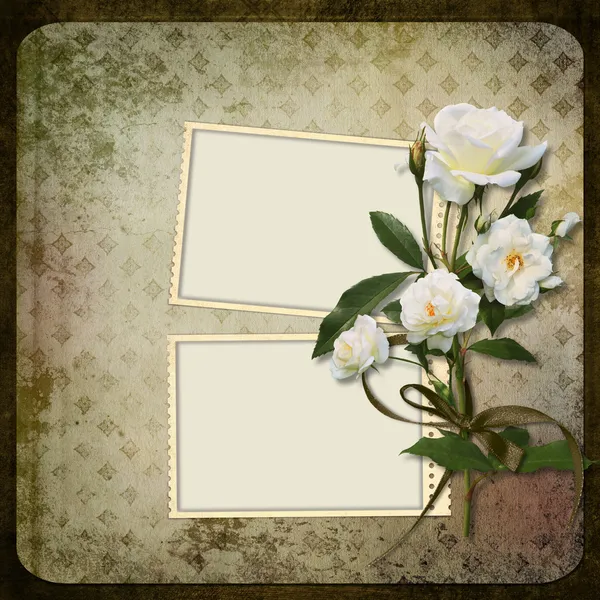 Frame with a branch of roses on a vintage background — Stock Photo, Image