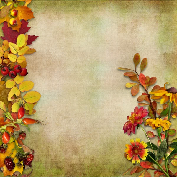 Sonbahar yaprakları, çiçekleri ve meyveleri antika arka plan üzerinde — Stok fotoğraf