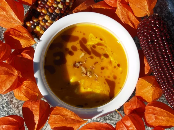 Podzimní polévka Stock Snímky