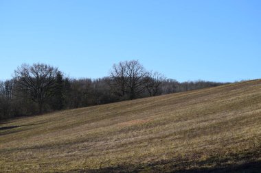 Tepedeki tarla Güzel kahverengi tonlarla