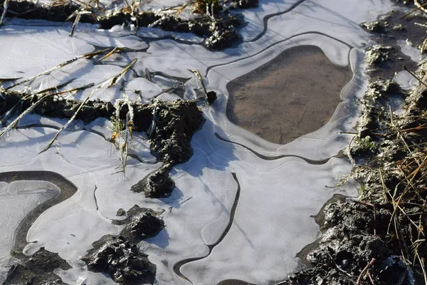 Frozen Puddle Glistens Midday Sun — Stock Photo, Image