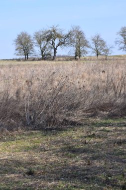 Oldukça kuru bir alan.