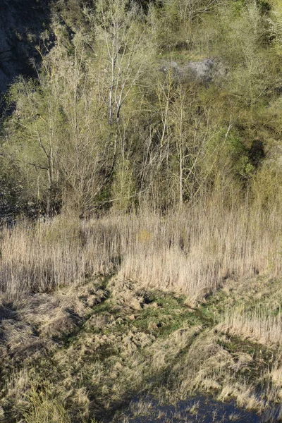 Taş ocağında bataklık otlağı