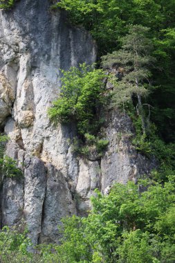 Kayalık bir alanda Dolomite kayaları 