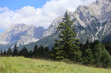 Dağlar, ormanlar ve güzel bulutlu çayırlar