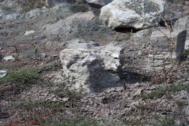 a nice washed out Piece of Gypsumkeuper