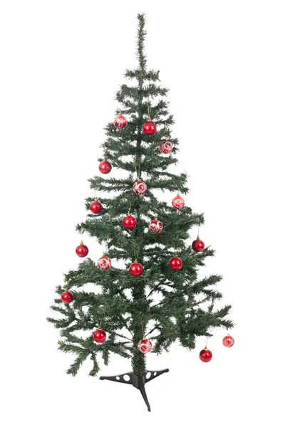 Een geïsoleerde kerstboom — Stockfoto