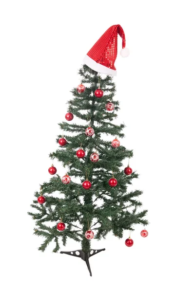Ein isolierter Weihnachtsbaum — Stockfoto