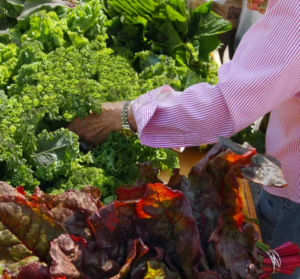 Senior Citizen At Farmer — Stock Photo, Image