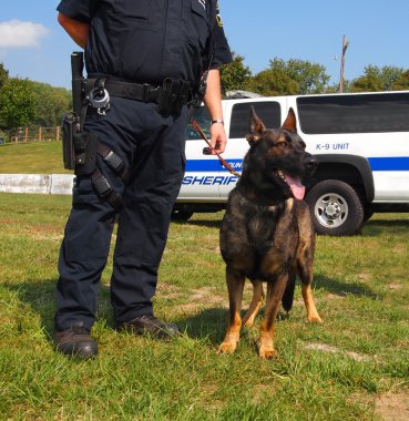 k-9 polis köpeği
