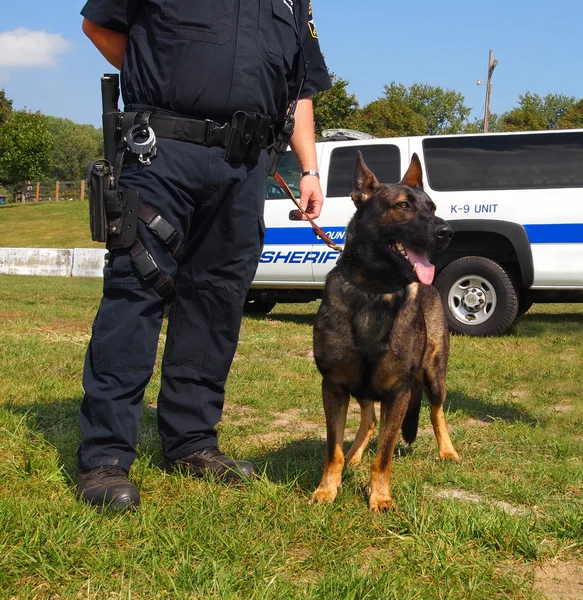 K-9 Polizeihund lizenzfreie Stockbilder