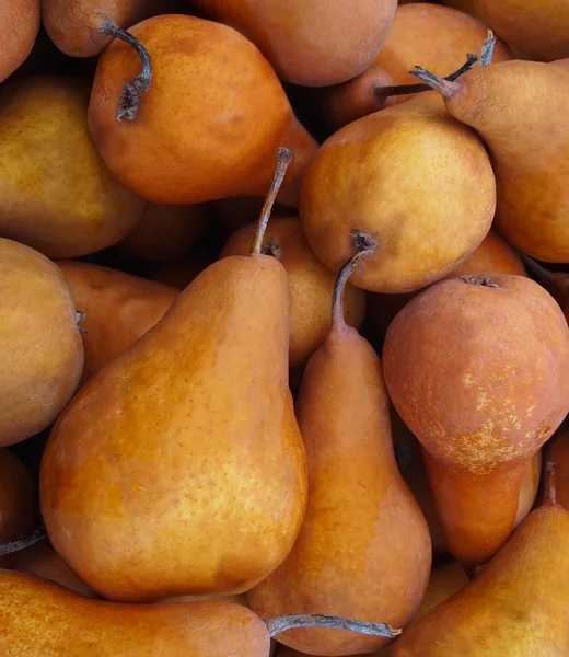 Bosc Pears Stock Picture
