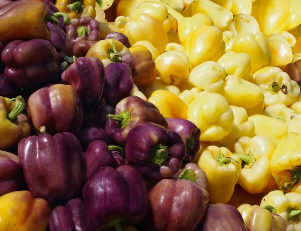 Purple and Yellow Bell Peppers — Stock Photo, Image