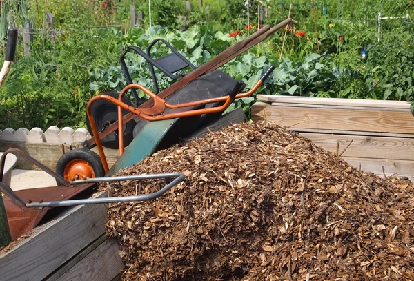 Wheelbarrows Community Mulch — Stock Photo, Image