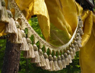 Tassel Fringe and Silk in the Forest clipart