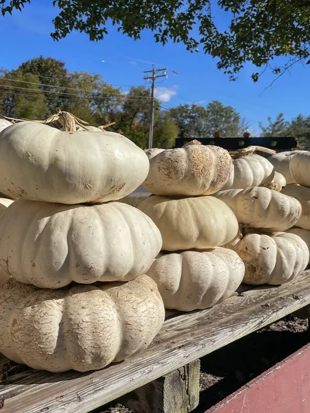 Calabazas Blancas Dispuestas Pilas Decorativas Apilan Una Mesa Madera Rústica —  Fotos de Stock