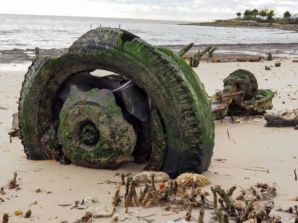 一个旧轮胎仍然附着在它的轮轴上 被遗弃在海滩上 部分沉入沙中 在其表面生长着海藻 — 图库照片