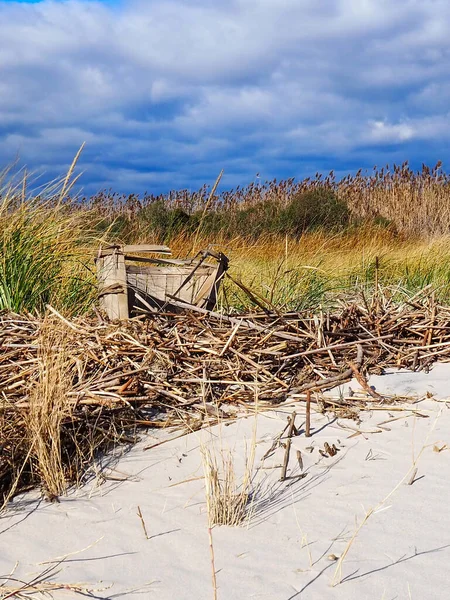 一个旧的 破碎的螃蟹蒲式篮被丢弃 被冲到一片空旷的海滩上一堆芦苇上的垂直构图 — 图库照片