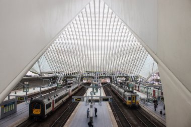  fütüristik liege guillemins tren istasyonu