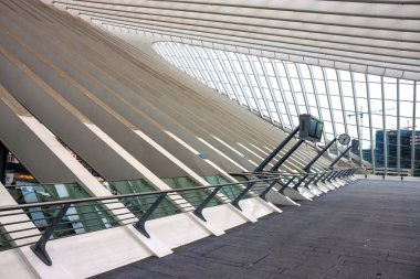 Liege guillemins tren istasyonu