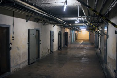 Berlin-hohenschonhausen Anıtı