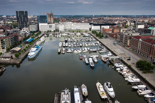 Aerial view of Antwerp — Stock Photo, Image