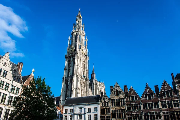 Our Lady's Cathedral in the center of Antwerp — Stock Photo, Image