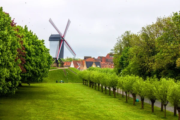 Wind mill in Bruges — Stock Photo, Image