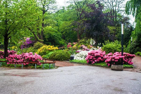 Parco Planten un blomen — Foto Stock