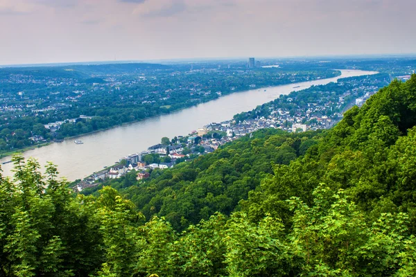 Utsikt över Rhendalen — Stockfoto