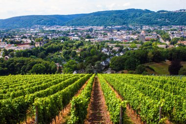 Trier havadan görünümü