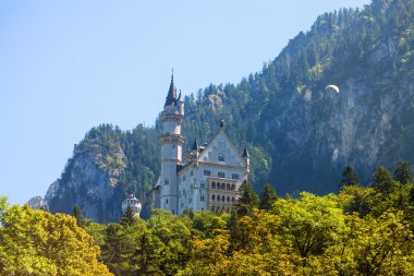 Neuschwanstein Şatosu