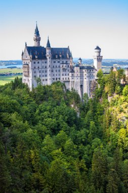 Neuschwanstein Şatosu