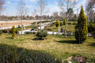 insanların güneşli bir gün parkta zevk.