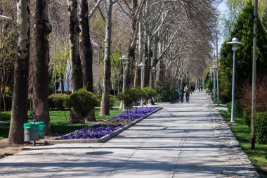 insanların güneşli bir gün parkta zevk.