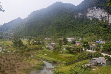 köyde kedi ba Milli Parkı