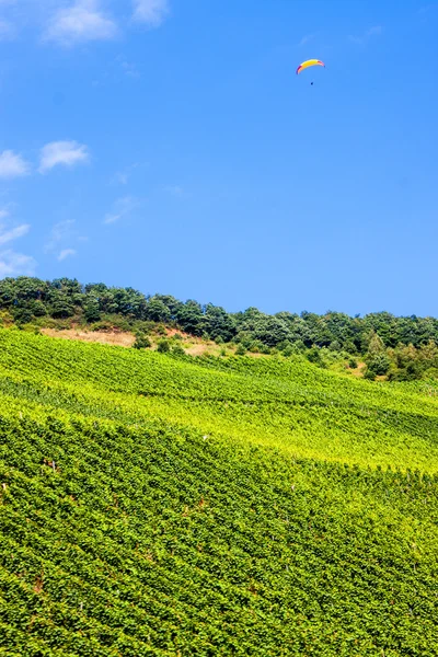 Gleitschirme — Stockfoto