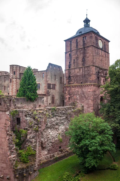 Château de Heidelberg — Photo