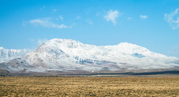 雪の覆われた山 — ストック写真