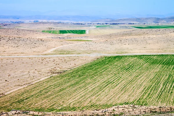 Вид на окрестности Шираза — стоковое фото
