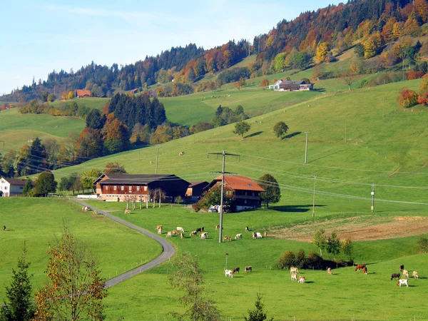 Paisaje otoñal en Suiza — Foto de Stock