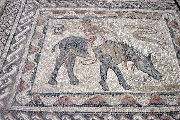 Deatil de mosaico na cidade antiga Volubilis — Fotografia de Stock