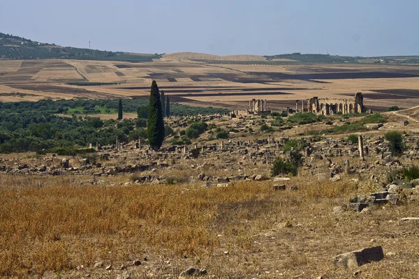 De archeologische site van volubili — Stockfoto