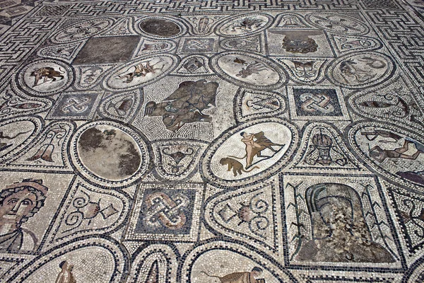 Deatil of mosaic in Ancient town Volubilis — Stock Photo, Image