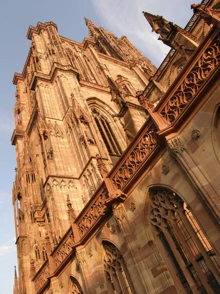 Detail van de kathedraal van Straatsburg — Stockfoto