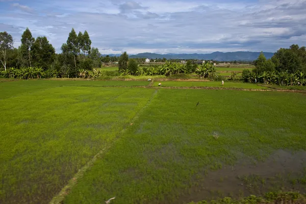 Landsbygden i södra vietnam — Stockfoto