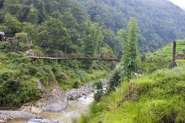 Puente de pie de madera viejo —  Fotos de Stock