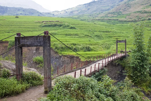 An old wooden foot bridge — Stock Photo, Image